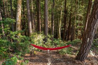 Residential Lot,  Umland circle, Jenner, CA 95450 - 16