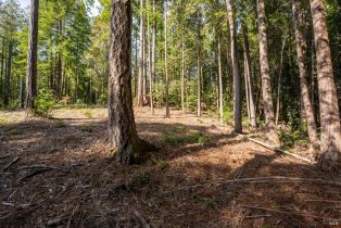 Residential Lot,  Umland circle, Jenner, CA 95450 - 14