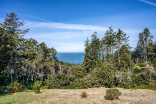 Single Family Residence,  Crows Nest drive, Sea Ranch, CA 95497 - 10