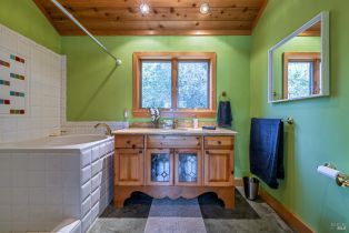 Single Family Residence,  Crows Nest drive, Sea Ranch, CA 95497 - 64