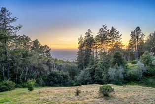 Single Family Residence,  Crows Nest drive, Sea Ranch, CA 95497 - 36