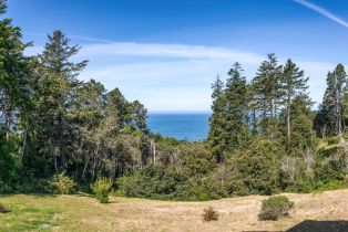 Single Family Residence,  Crows Nest drive, Sea Ranch, CA 95497 - 23