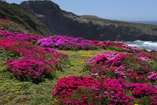 Single Family Residence,  Crows Nest drive, Sea Ranch, CA 95497 - 87