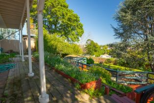 Single Family Residence,  Birch drive, Petaluma, CA 94952 - 61