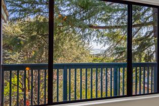 Single Family Residence,  Birch drive, Petaluma, CA 94952 - 11