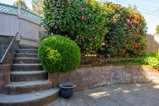 Single Family Residence,  Birch drive, Petaluma, CA 94952 - 66
