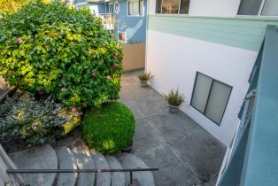 Single Family Residence,  Birch drive, Petaluma, CA 94952 - 68