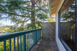 Single Family Residence,  Birch drive, Petaluma, CA 94952 - 25