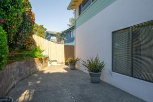 Single Family Residence,  Birch drive, Petaluma, CA 94952 - 64