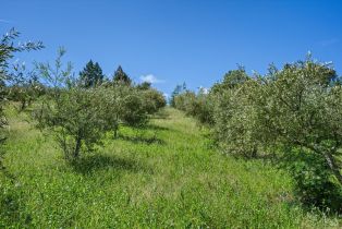 Residential Acreage,  Westside road, Healdsburg, CA 95448 - 14