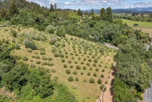 Residential Acreage,  Westside road, Healdsburg, CA 95448 - 11