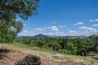 Residential Acreage,  Westside road, Healdsburg, CA 95448 - 25