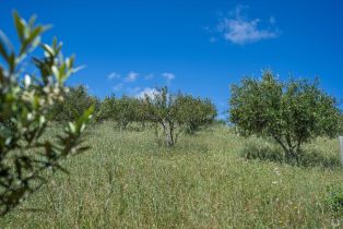 Residential Acreage,  Westside road, Healdsburg, CA 95448 - 18