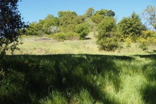 Residential Acreage,  Westside road, Healdsburg, CA 95448 - 9
