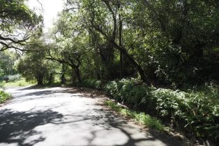 Residential Acreage,  Westside road, Healdsburg, CA 95448 - 15