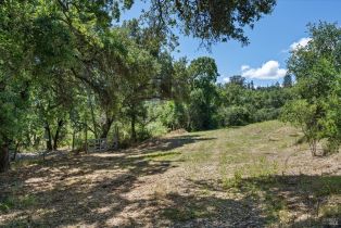 Residential Acreage,  Westside road, Healdsburg, CA 95448 - 19