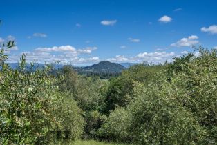 Residential Acreage,  Westside road, Healdsburg, CA 95448 - 15