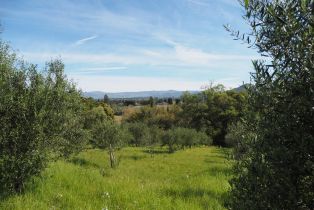 Residential Acreage,  Westside road, Healdsburg, CA 95448 - 11