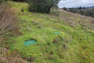 Residential Acreage,  Westside road, Healdsburg, CA 95448 - 13