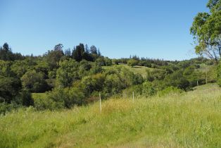 Residential Acreage,  Westside road, Healdsburg, CA 95448 - 3