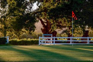 Single Family Residence,  Dealy lane, Napa, CA 94559 - 38