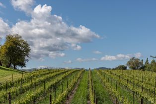 Single Family Residence,  Dealy lane, Napa, CA 94559 - 40