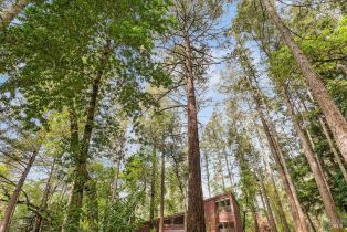 Single Family Residence,  Knob Hill drive, Santa Rosa, CA 95404 - 59