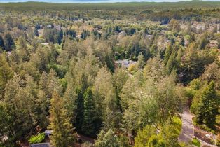 Single Family Residence,  Knob Hill drive, Santa Rosa, CA 95404 - 82