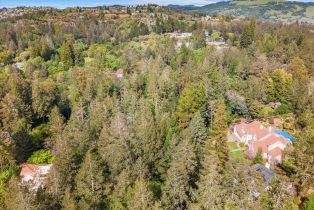 Single Family Residence,  Knob Hill drive, Santa Rosa, CA 95404 - 80