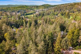 Single Family Residence,  Knob Hill drive, Santa Rosa, CA 95404 - 81