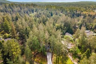 Single Family Residence,  Knob Hill drive, Santa Rosa, CA 95404 - 83