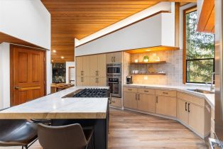 Single Family Residence,  Knob Hill drive, Santa Rosa, CA 95404 - 22