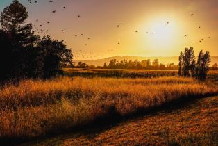 Single Family Residence,  Schellville road, Sonoma, CA 95476 - 29