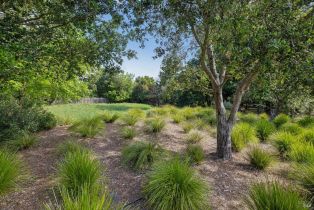 Single Family Residence,  Napa street, Sonoma, CA 95476 - 38