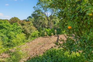 Single Family Residence, Bennett Valley road, Santa Rosa, CA 95404 - 39