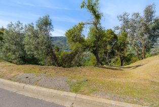 Land, Steele Canyon Rd, Napa, CA  Napa, CA 94558