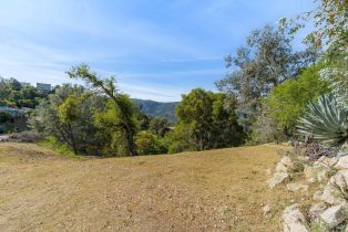 Residential Lot,  Steele Canyon road, Napa, CA 94558 - 6