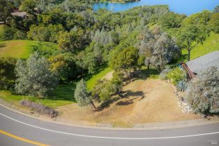 Residential Lot,  Steele Canyon road, Napa, CA 94558 - 18