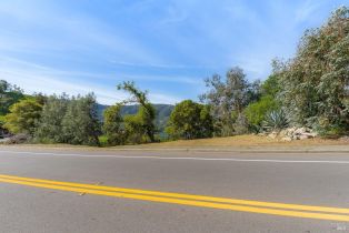Residential Lot,  Steele Canyon road, Napa, CA 94558 - 9