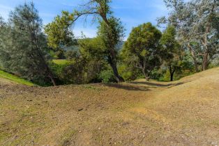 Residential Lot,  Steele Canyon road, Napa, CA 94558 - 8