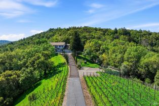 Single Family Residence,  Dry Creek road, Napa, CA 94558 - 3