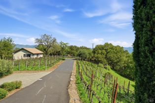 Single Family Residence,  Dry Creek road, Napa, CA 94558 - 66