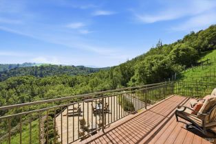 Single Family Residence,  Dry Creek road, Napa, CA 94558 - 40