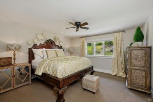 Single Family Residence,  Dry Creek road, Napa, CA 94558 - 49