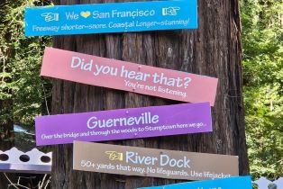 Single Family Residence,  Center way, Russian River, CA 95446 - 34