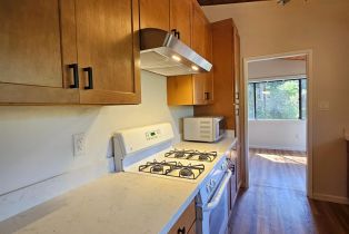 Single Family Residence,  Center way, Russian River, CA 95446 - 10