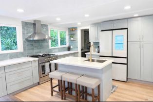 Single Family Residence,  Palo Alto drive, Russian River, CA 95446 - 2