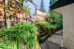 Single Family Residence,  Palo Alto drive, Russian River, CA 95446 - 32