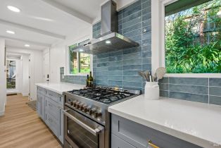 Single Family Residence,  Palo Alto drive, Russian River, CA 95446 - 10