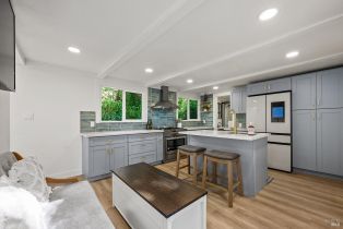Single Family Residence,  Palo Alto drive, Russian River, CA 95446 - 8